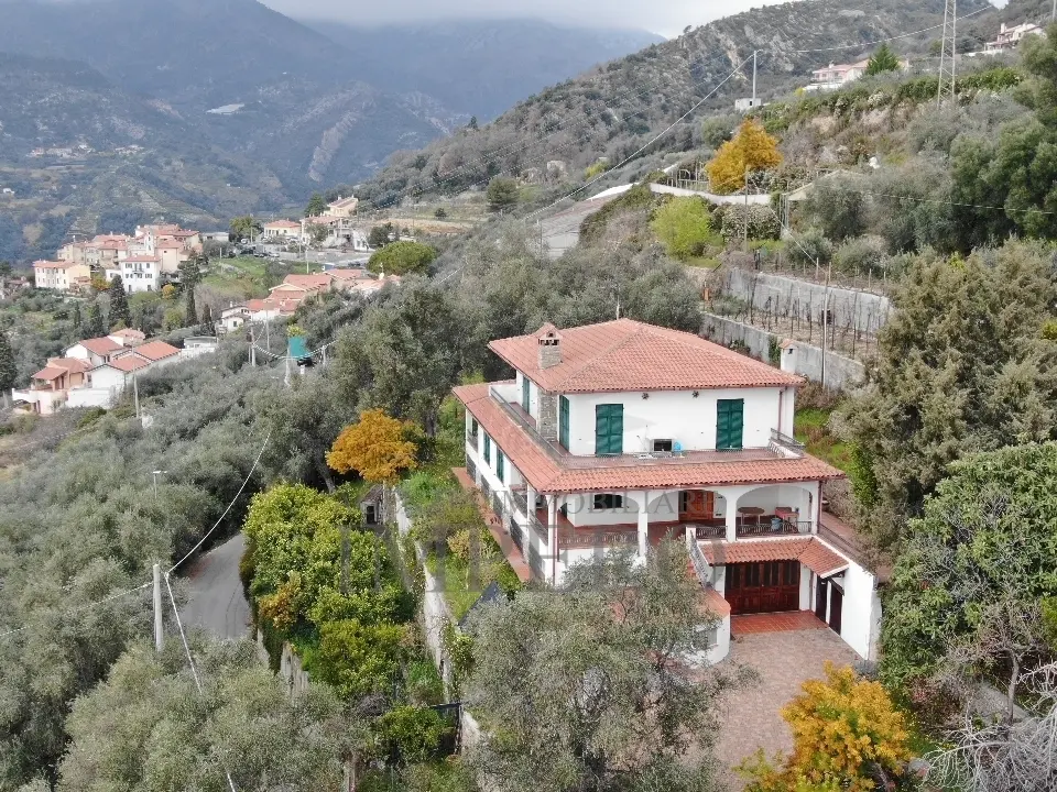Immagine per Villa in vendita a Ventimiglia via Nappio