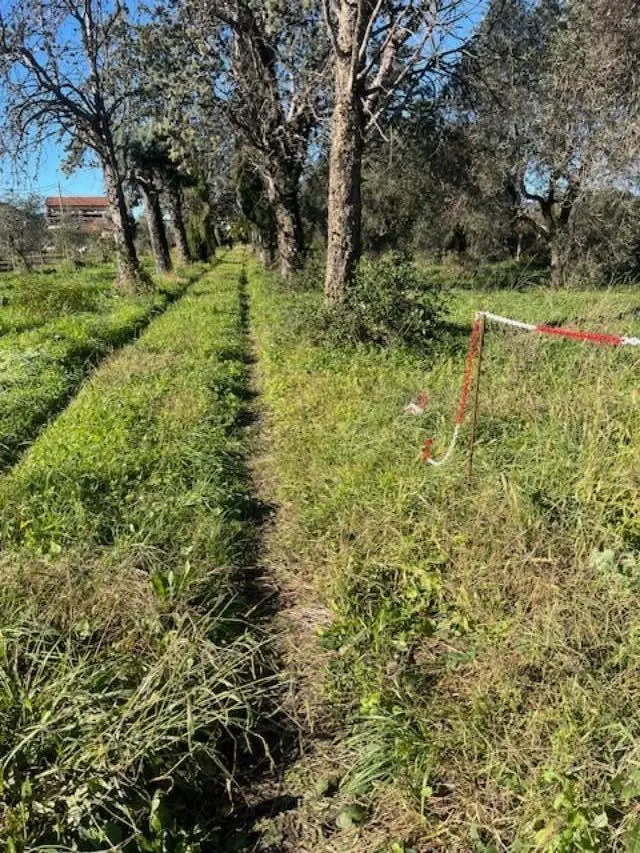 Immagine per Casale in vendita a Sarzana via Ghiarettolo 11
