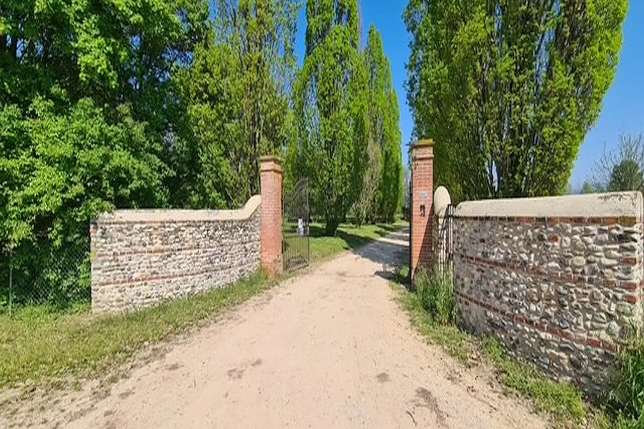 Immagine per Casale in Vendita a Riese Pio X Via Cendrole