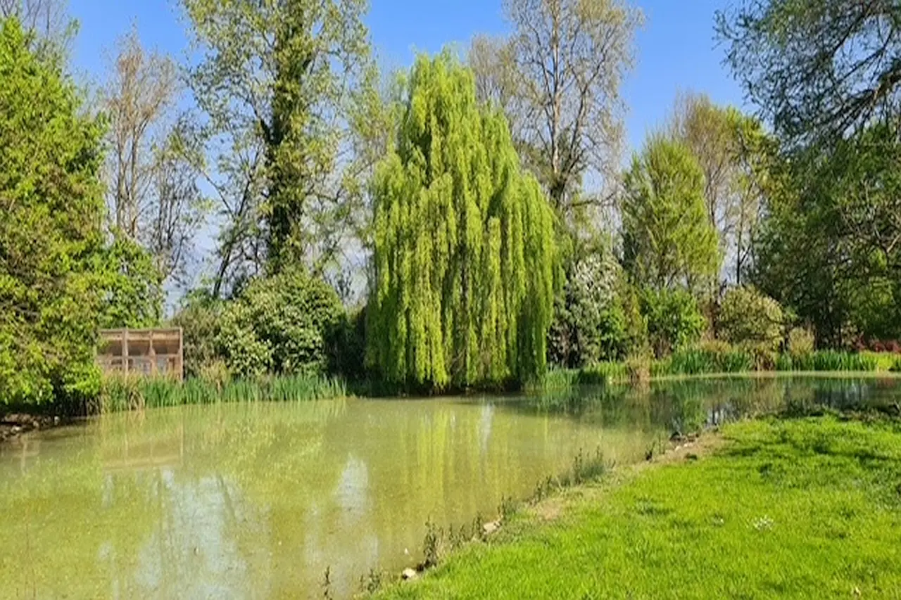 Immagine per Casale in Vendita a Riese Pio X Via Cendrole