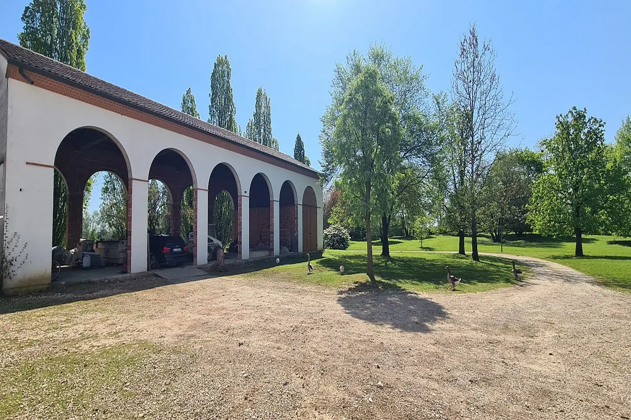 Immagine per Casale in Vendita a Riese Pio X Via Cendrole