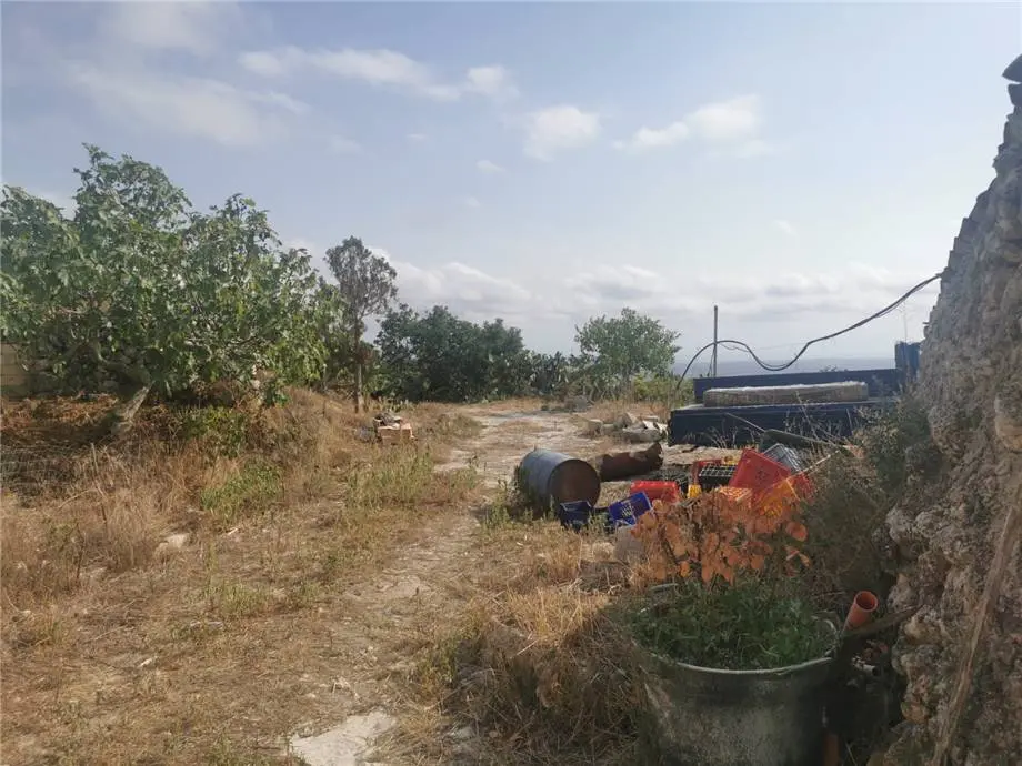 Immagine per Rustico in vendita a Noto