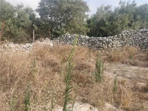 Rustico Noto