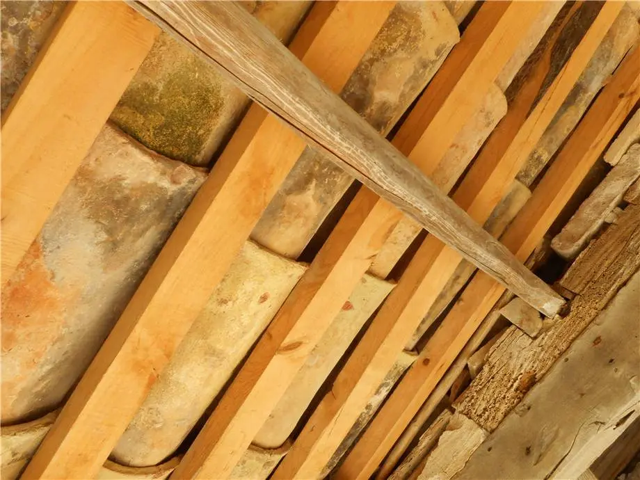 Immagine per Terreno edificabile in vendita a Noto