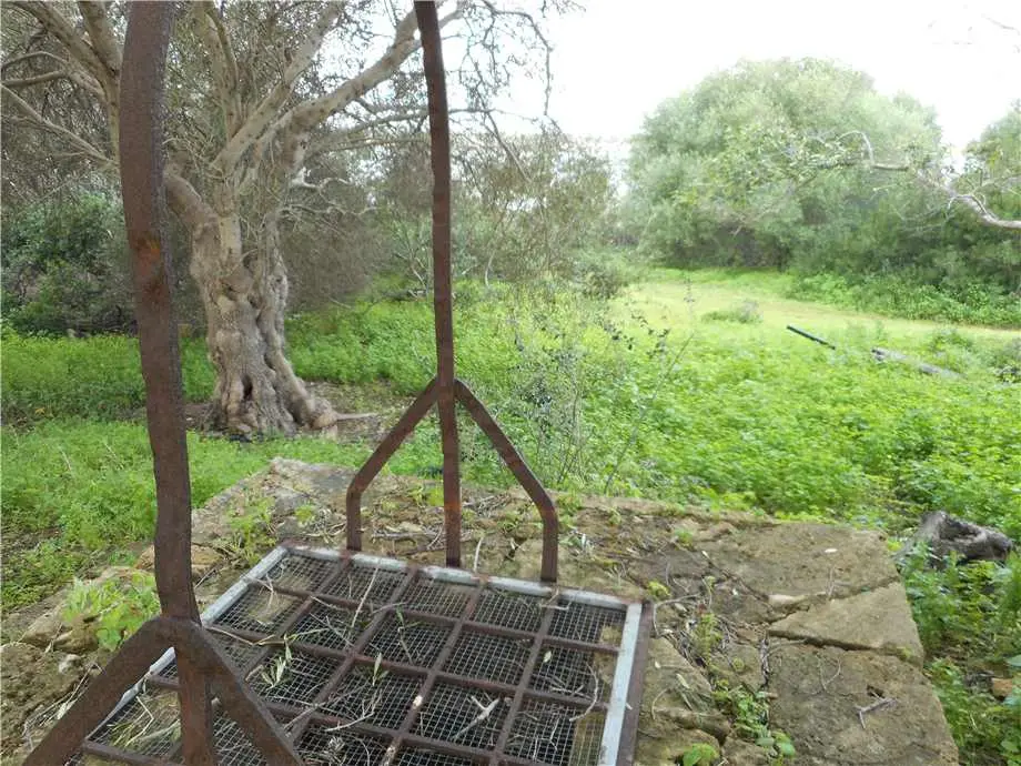 Immagine per Terreno edificabile in vendita a Noto