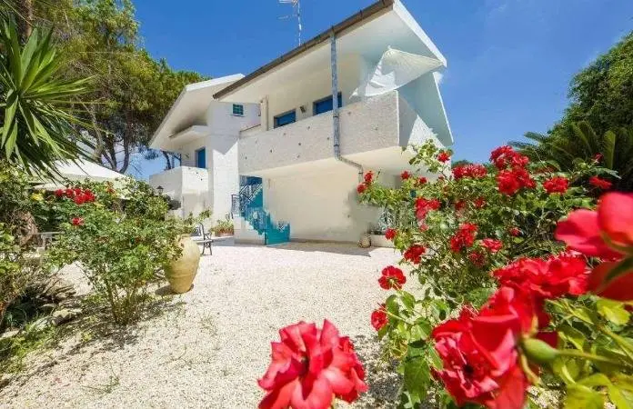 Immagine per Villa in vendita a Siracusa