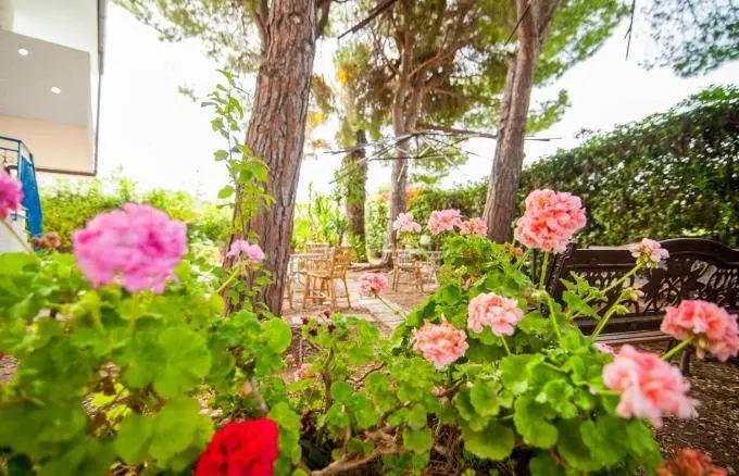 Immagine per Villa in vendita a Siracusa