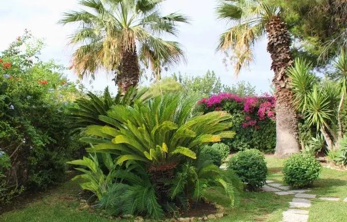 Immagine per Villa in vendita a Siracusa