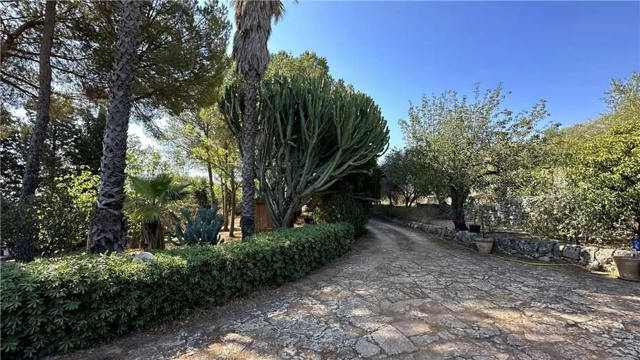 Immagine per Villa in vendita a Noto via Via Cugni Stallaini