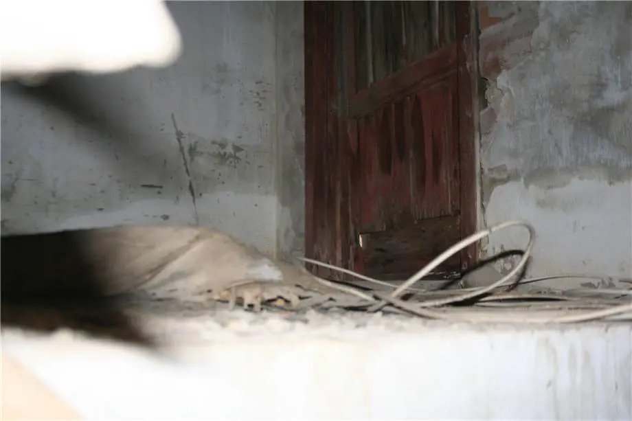 Immagine per Casa indipendente in vendita a Pachino via Via Vesuvio