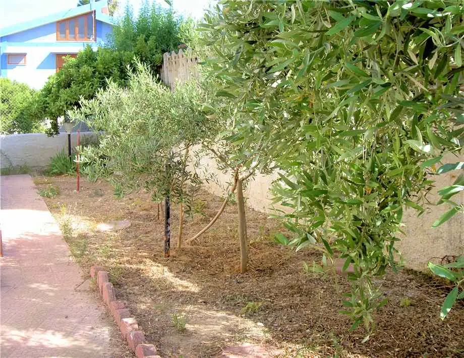 Immagine per Villa in vendita a Noto