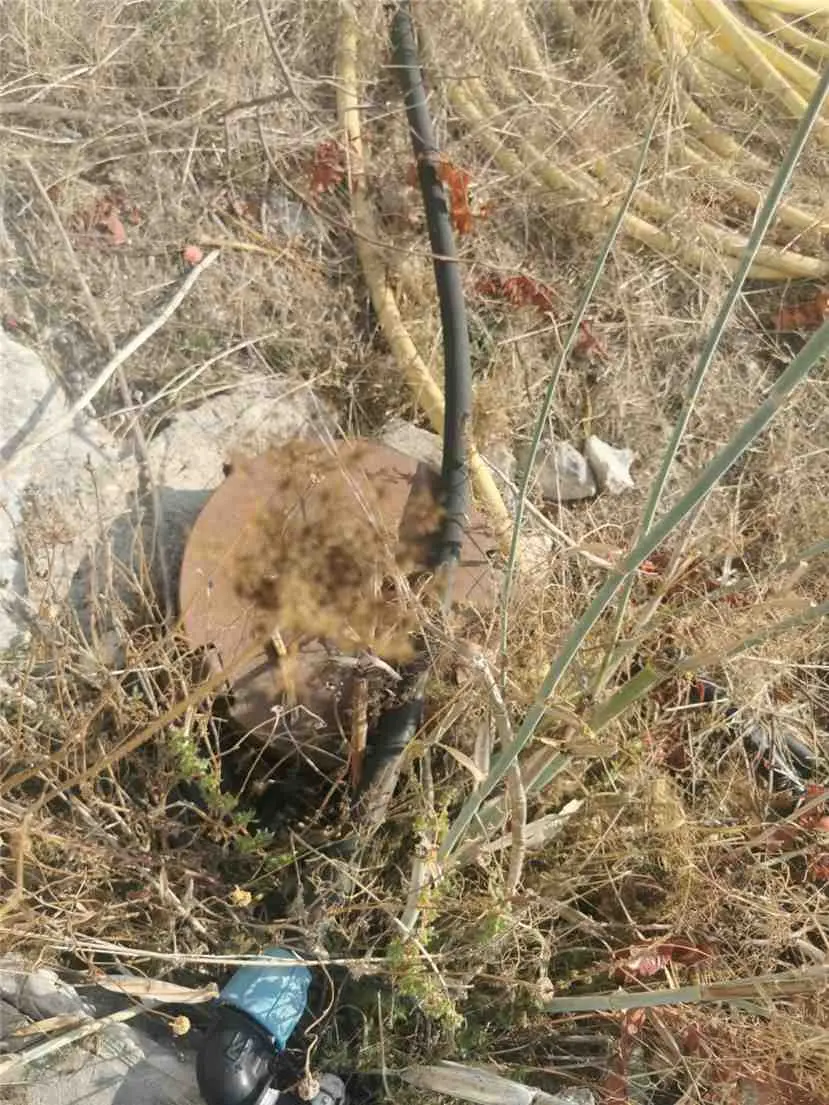 Immagine per Rustico in vendita a Noto