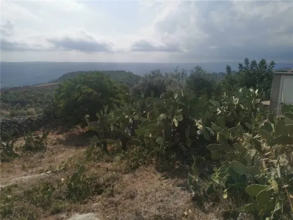 Rustico Noto