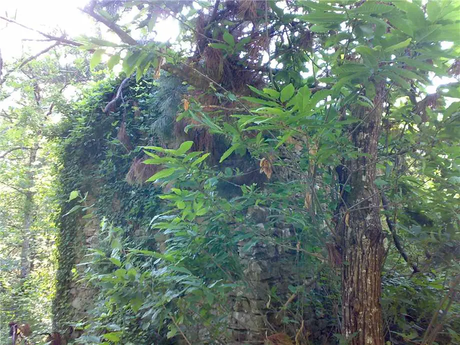 Immagine per Casale in vendita a Bajardo
