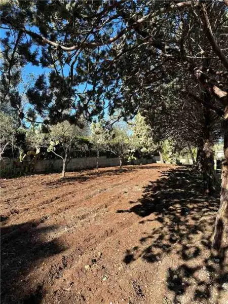 Villa Avola