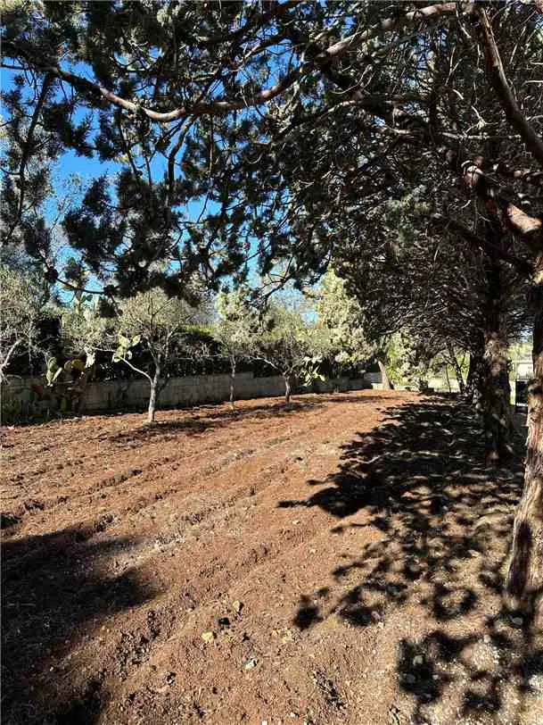 Immagine per Villa in vendita a Avola