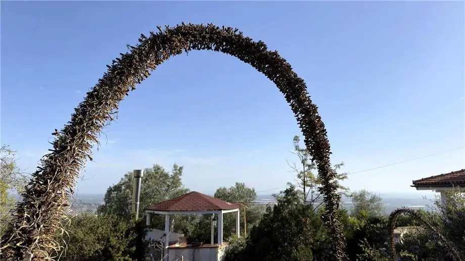 Immagine per Villa in vendita a Noto via Via Cugni Stallaini
