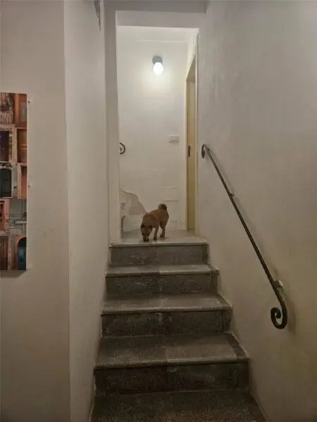 Casa Indipendente via Antonio Sofia, Noto