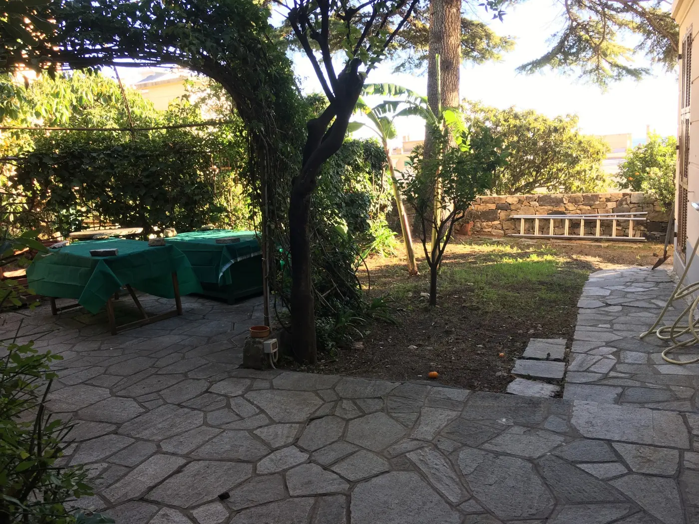 Immagine per Appartamento in affitto a Sanremo corso Degli Inglesi 383