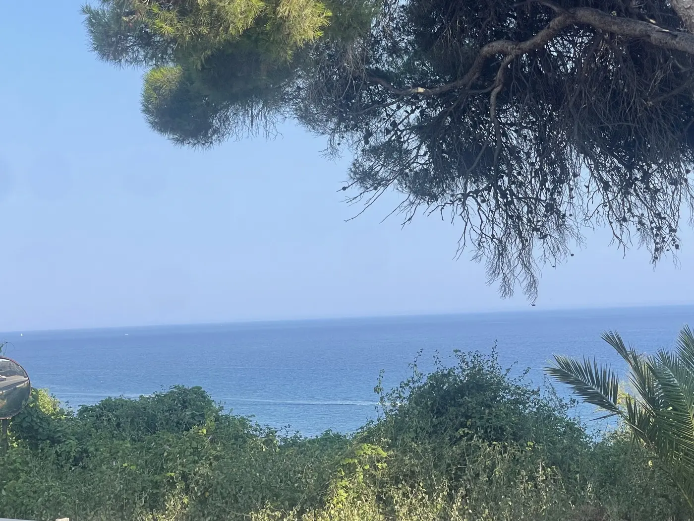 Immagine per Appartamento in vendita a Cipressa via Aurelia 28