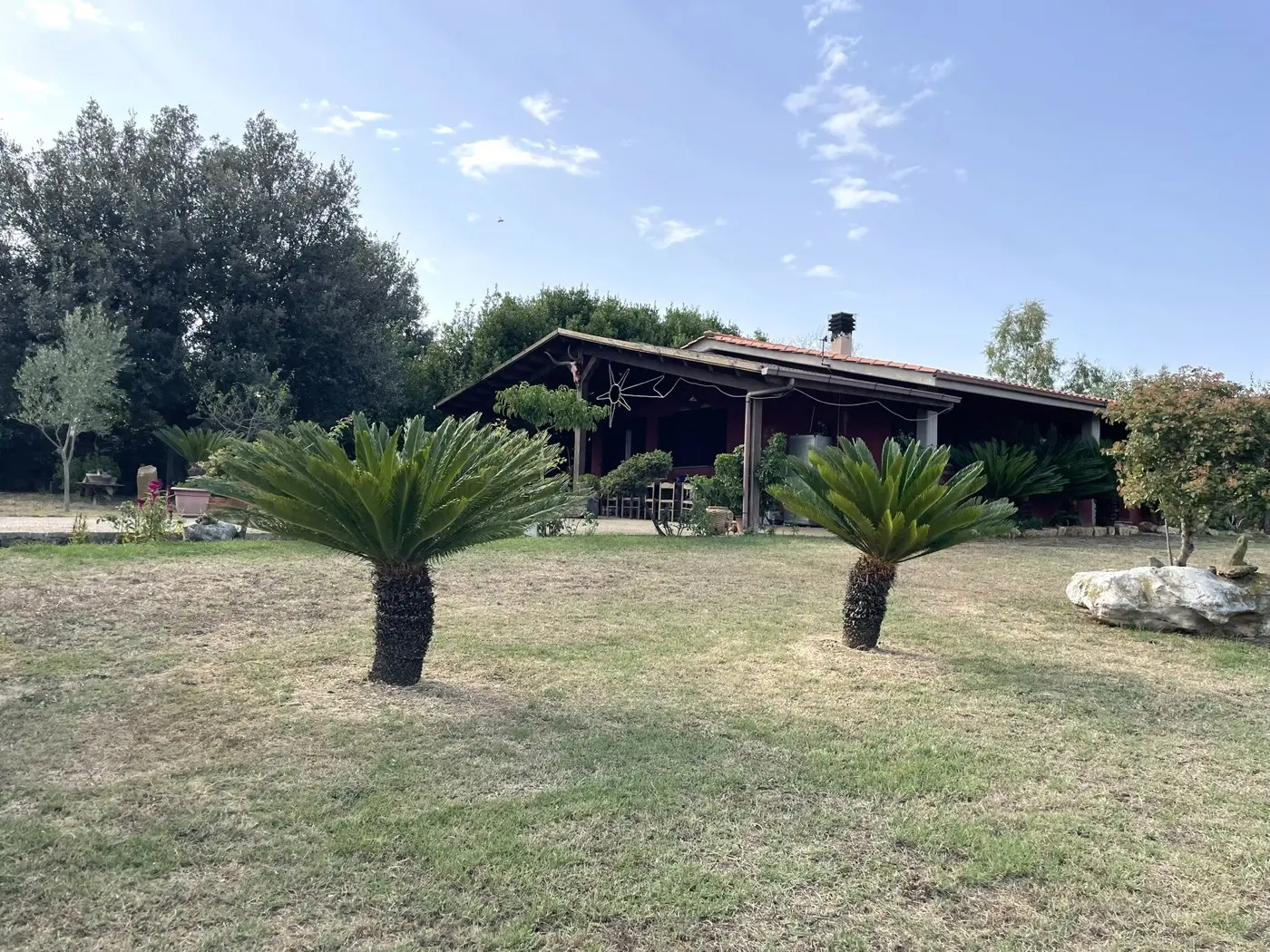 Immagine per Villa in vendita a Cerveteri via Orti Della Paola