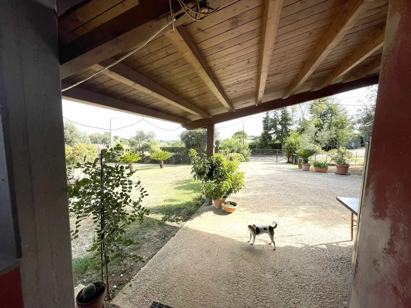 Immagine per Villa in vendita a Cerveteri via Orti Della Paola