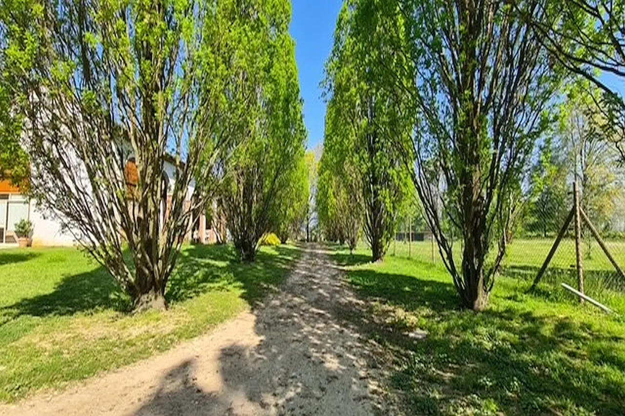 Immagine per Casale in Vendita a Riese Pio X Via Cendrole