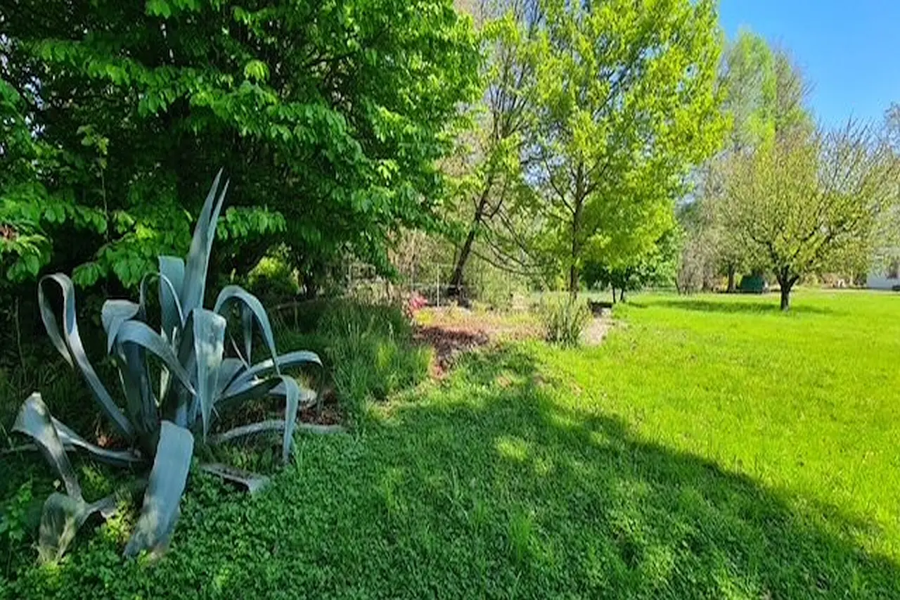 Immagine per Casale in Vendita a Riese Pio X Via Cendrole