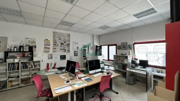 Industriale strada Provinciale 231, Modugno
