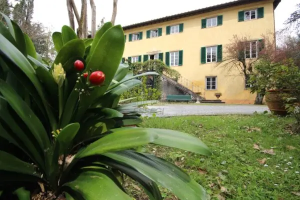 Villa via Del Caporale 773, Lucca