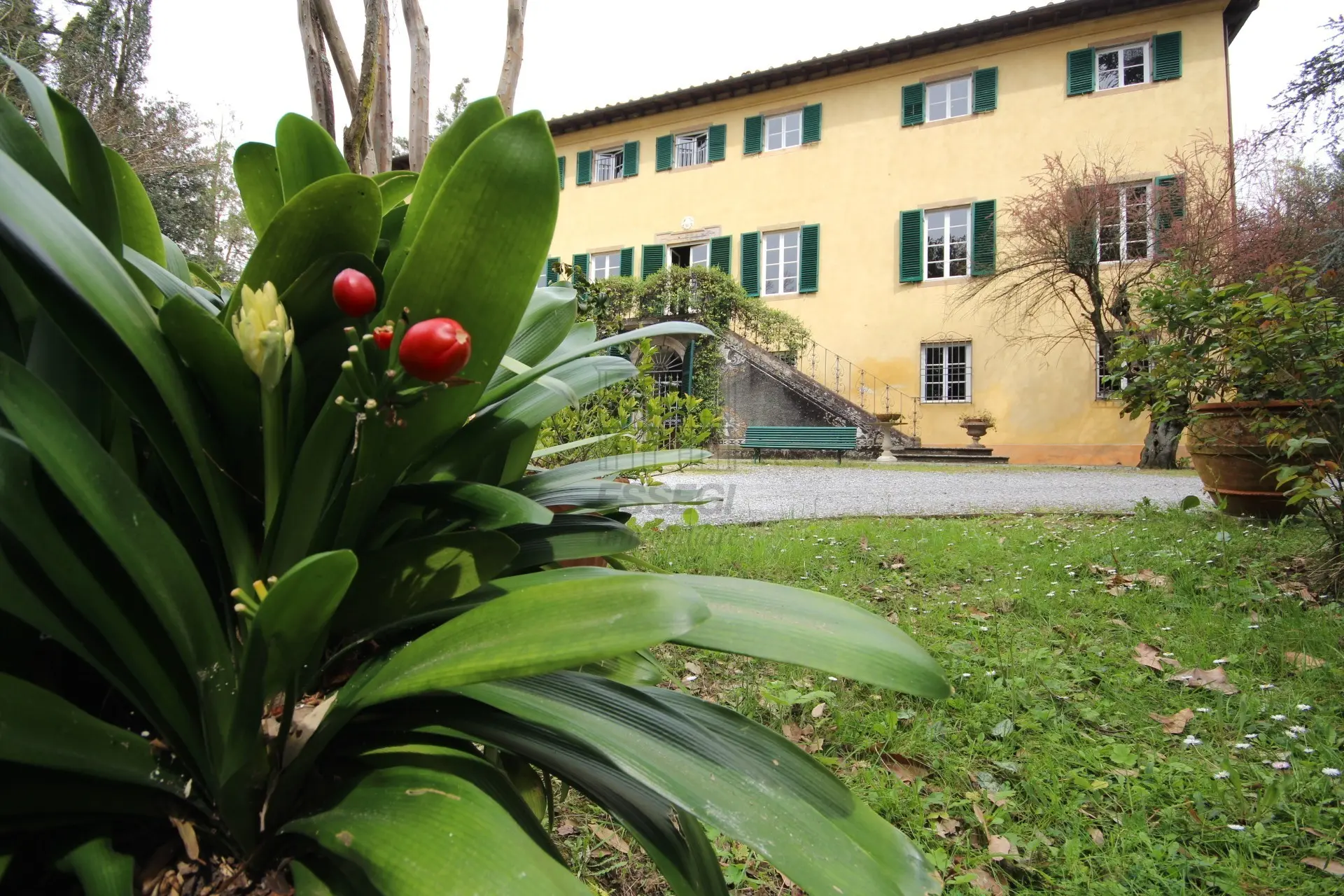 Immagine per Villa in vendita a Lucca via Del Caporale 773