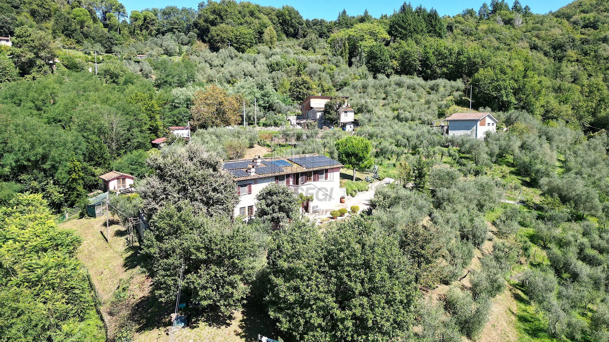 Immagine per Rustico in vendita a Borgo a Mozzano via Località Pieve Di Cerreto 3