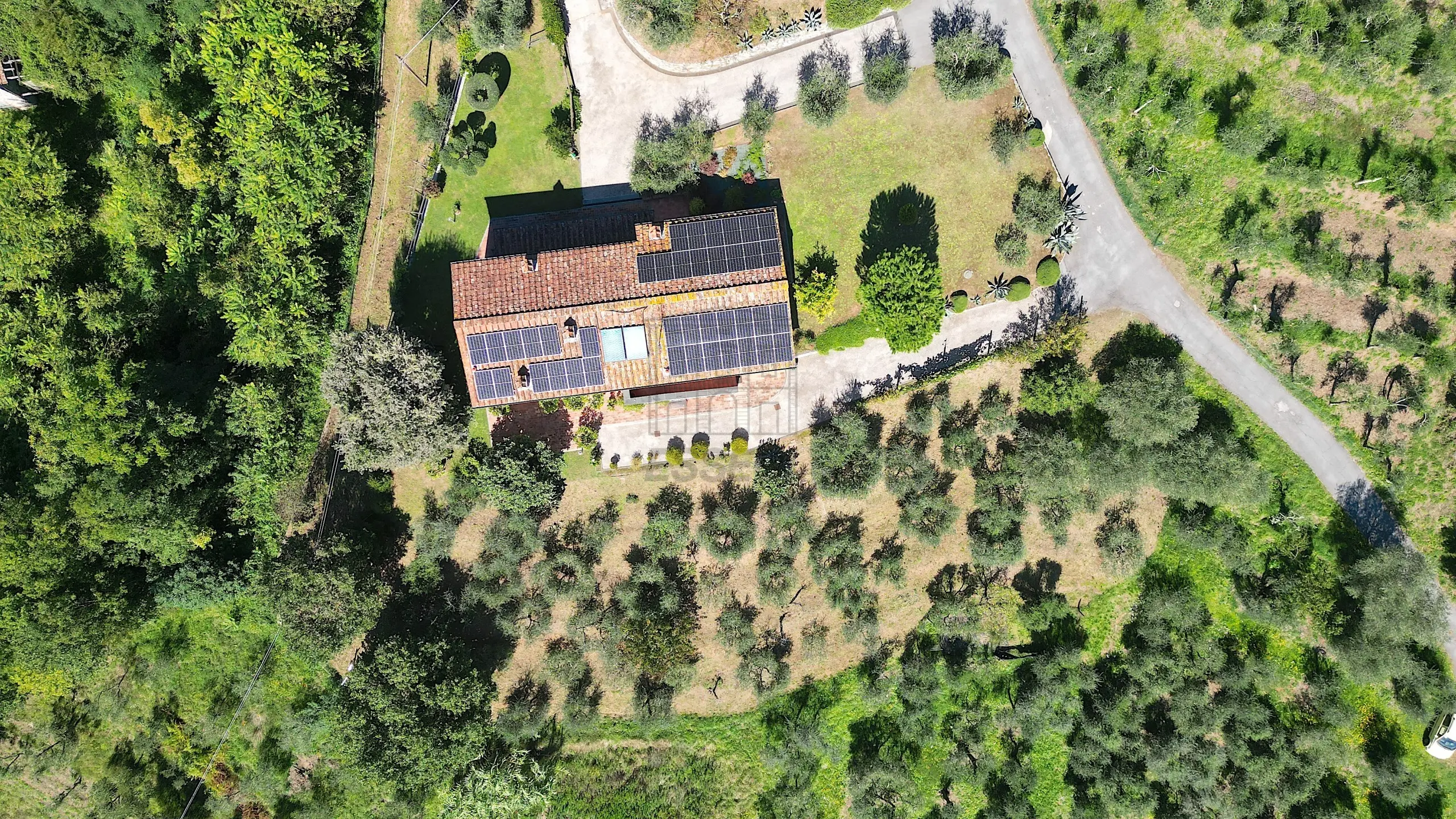 Immagine per Rustico in vendita a Borgo a Mozzano via Località Pieve Di Cerreto 3