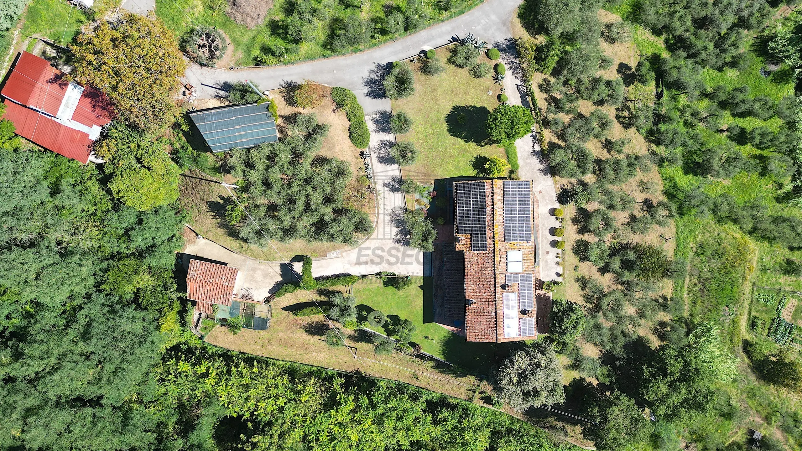 Immagine per Rustico in vendita a Borgo a Mozzano via Località Pieve Di Cerreto 3