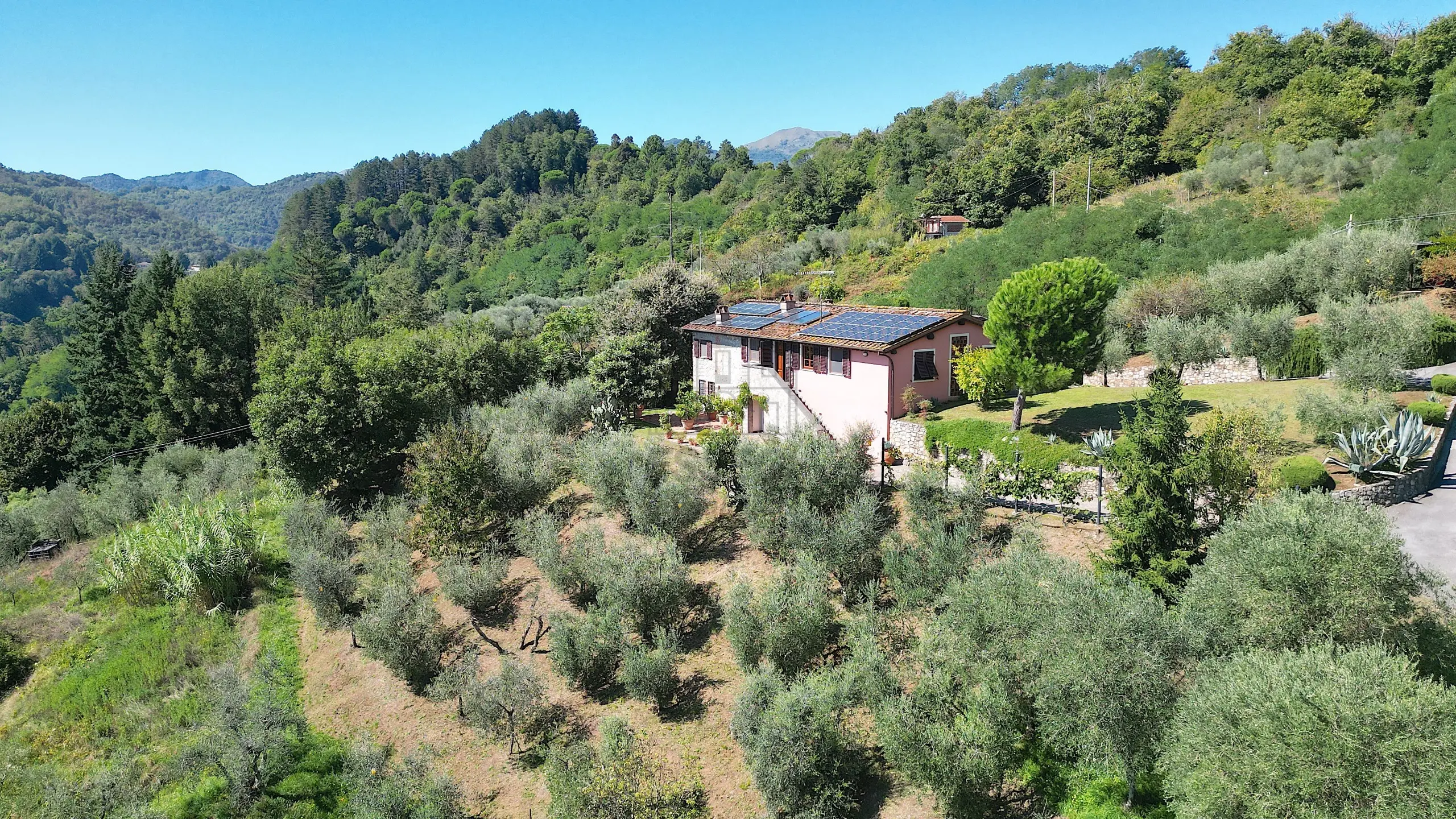 Immagine per Rustico in vendita a Borgo a Mozzano via Località Pieve Di Cerreto 3