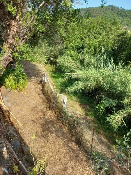 Quadrilocale via Bradia, Sarzana