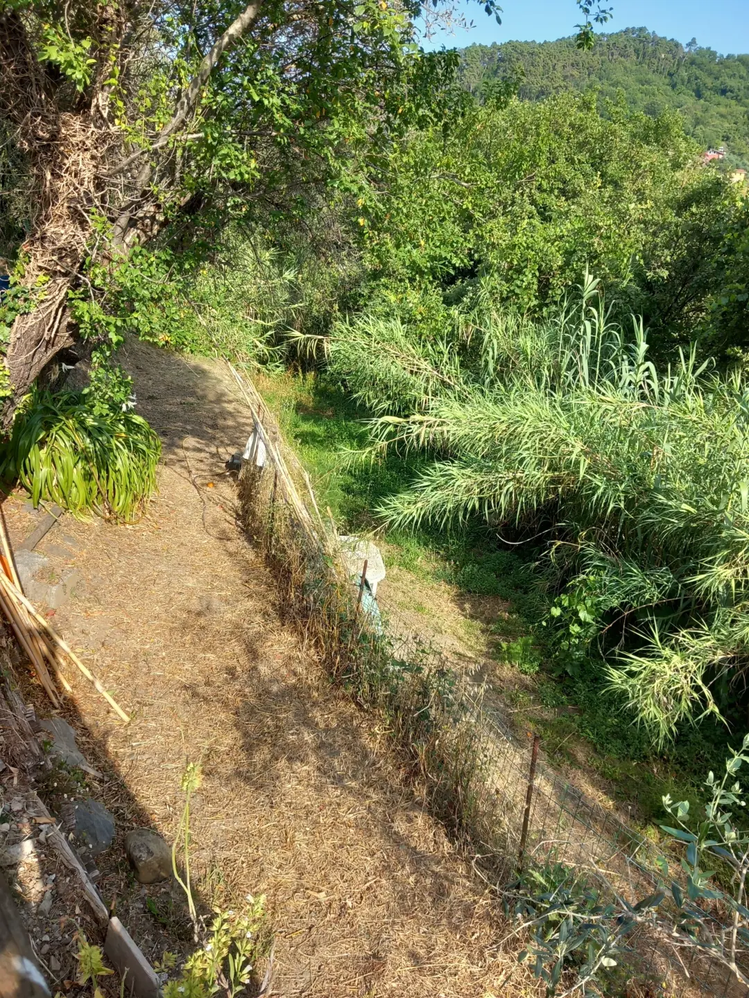 Immagine per Quadrilocale in vendita a Sarzana via Bradia