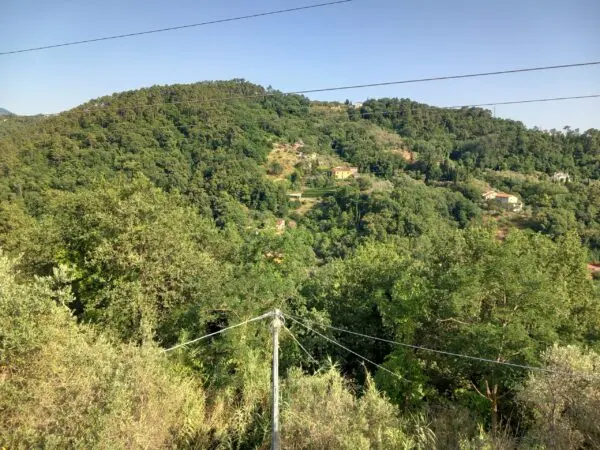 Quadrilocale via Bradia, Sarzana
