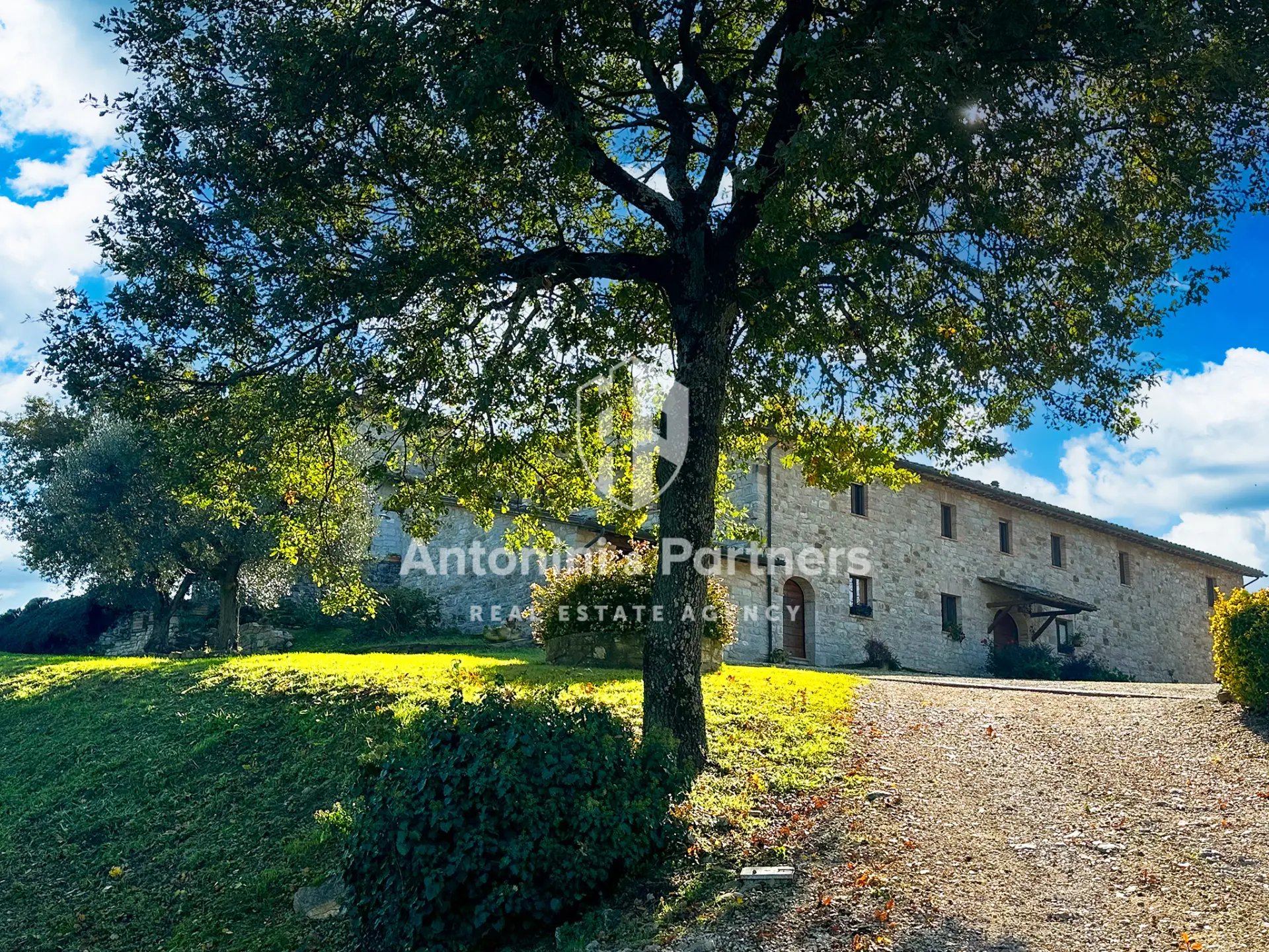 Immagine per Casale in vendita a Todi strada Provinciale 380