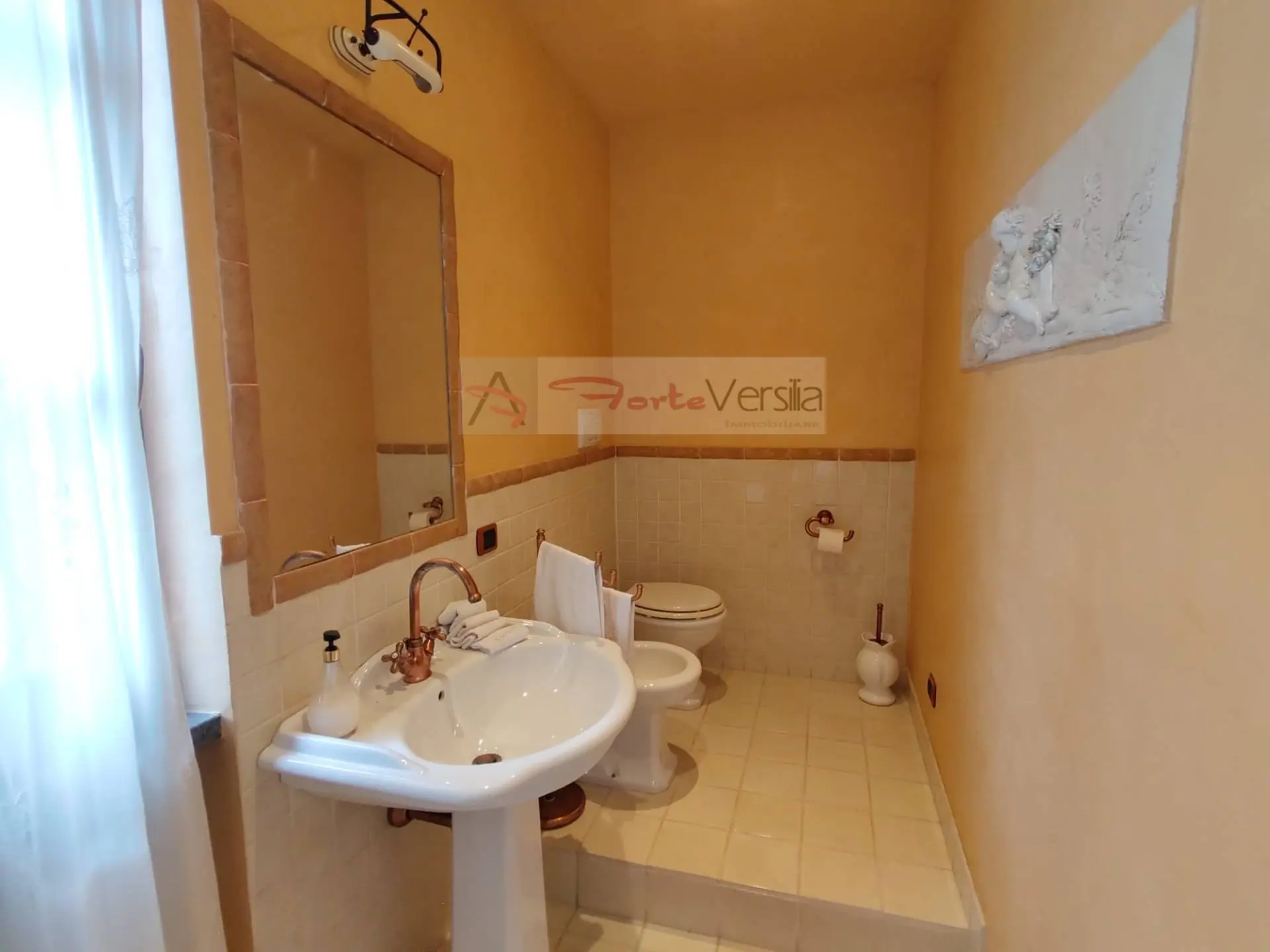 Immagine per Villa in vendita a Montignoso  