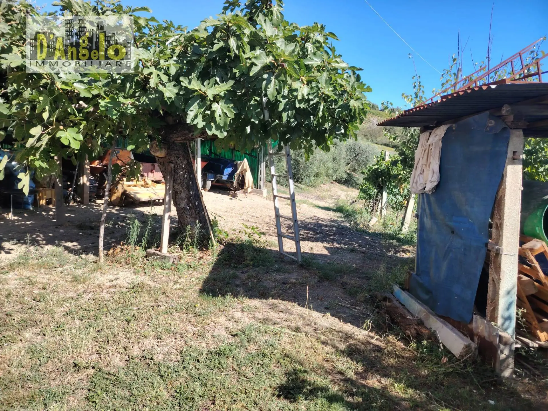 Immagine per Baita/Chalet/Trullo in vendita a Offida Contrada Tesino 171