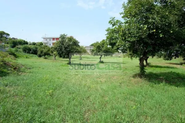 Terreno Edificabile viale Europa, Villalfonsina
