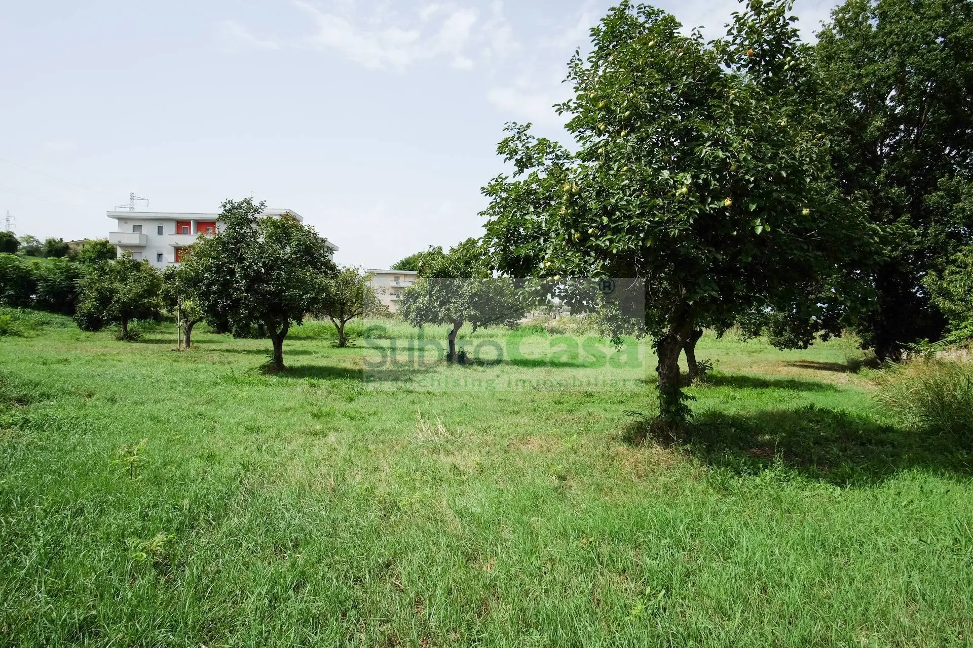 Immagine per Terreno Edificabile in vendita a Villalfonsina Viale Europa 