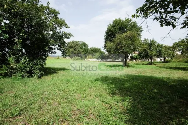 Terreno Edificabile viale Europa, Villalfonsina