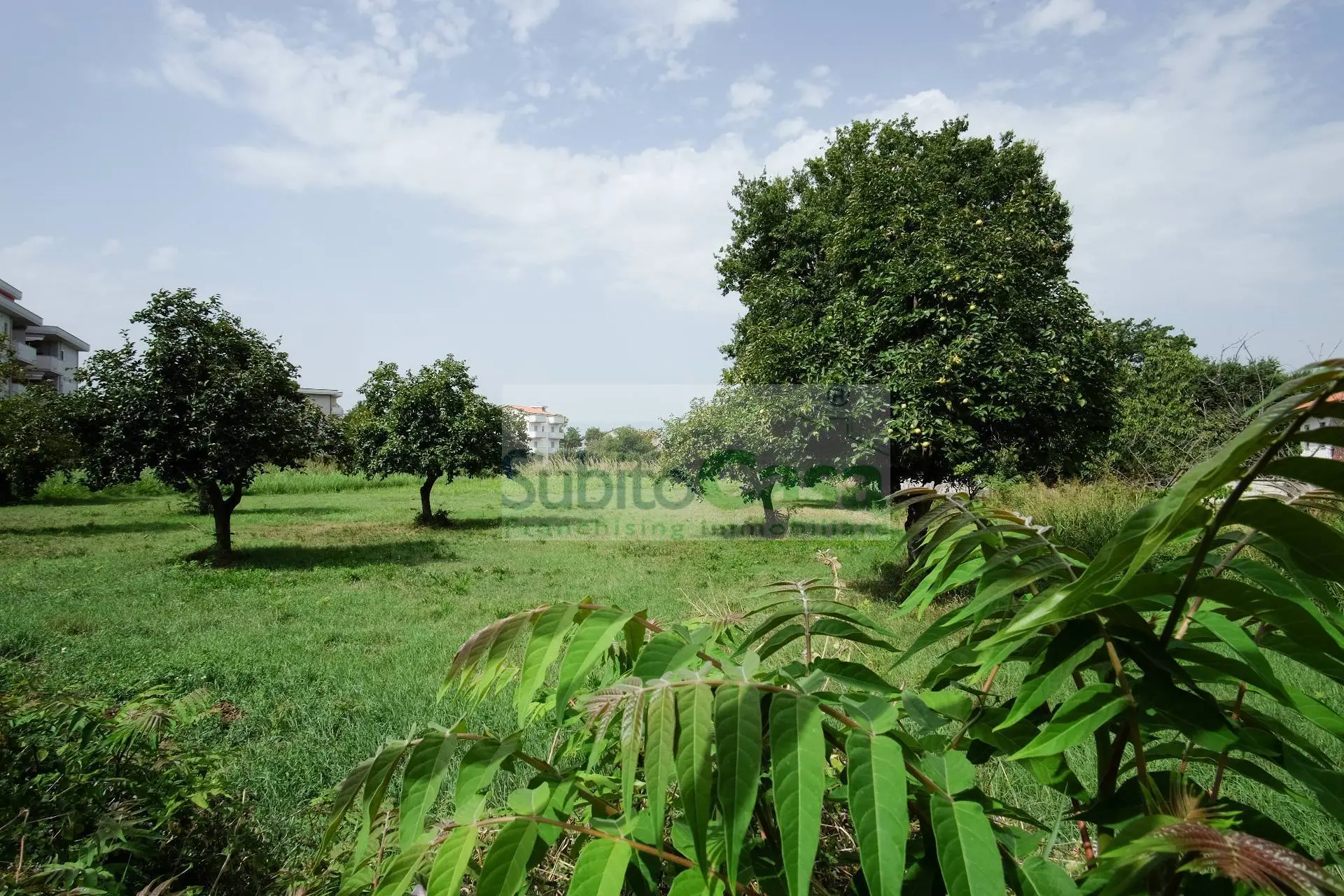 Immagine per Terreno Edificabile in vendita a Villalfonsina Viale Europa 