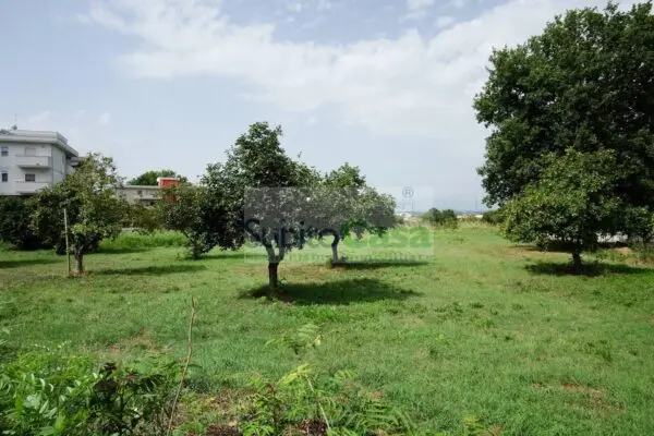 Terreno Edificabile viale Europa, Villalfonsina