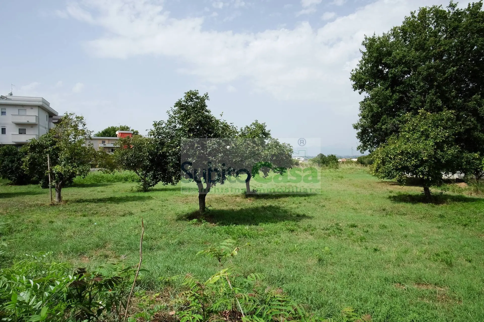 Immagine per Terreno Edificabile in vendita a Villalfonsina Viale Europa 