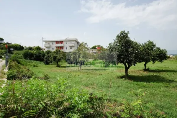 Terreno Edificabile viale Europa, Villalfonsina