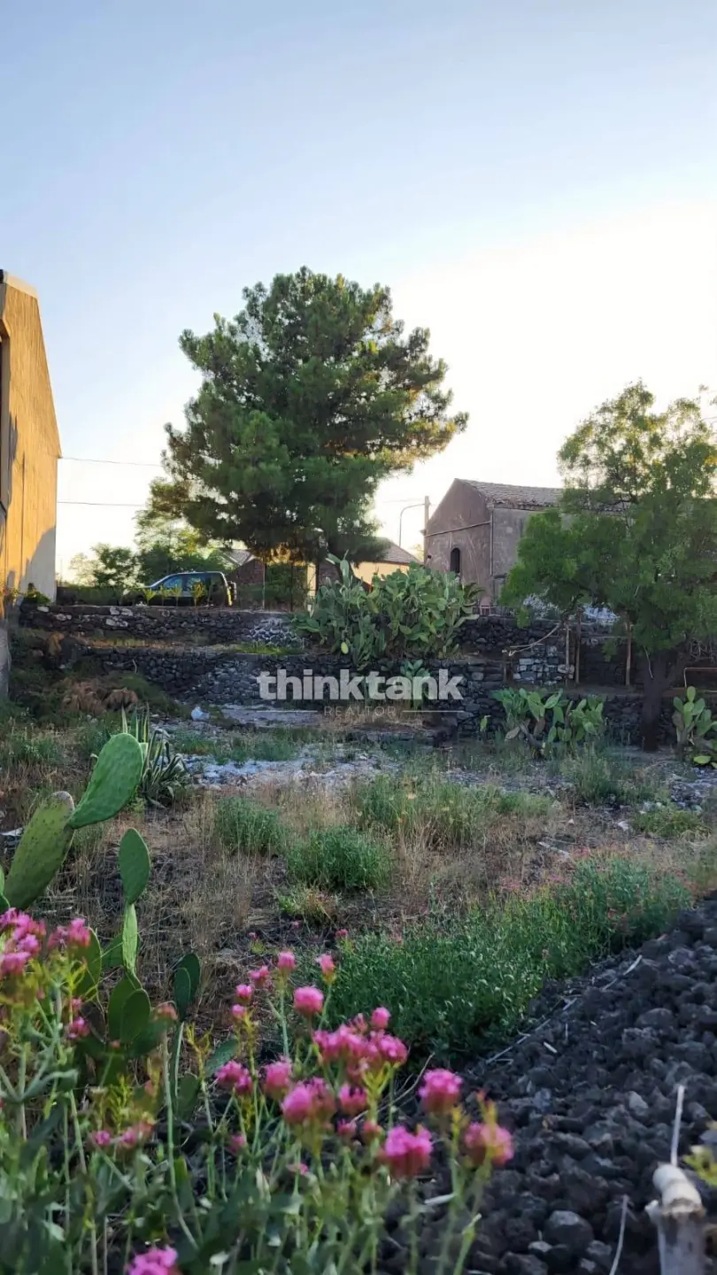 Immagine per Rustico/Casale in vendita a Castiglione di Sicilia Viale Regina Margherita 