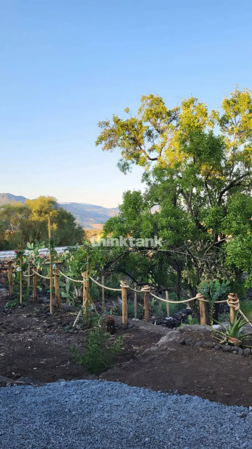 Immagine per Rustico/Casale in vendita a Castiglione di Sicilia Viale Regina Margherita 